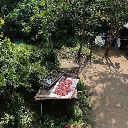 Munnar Kaippalli Budget Homestay Ngoại thất bức ảnh